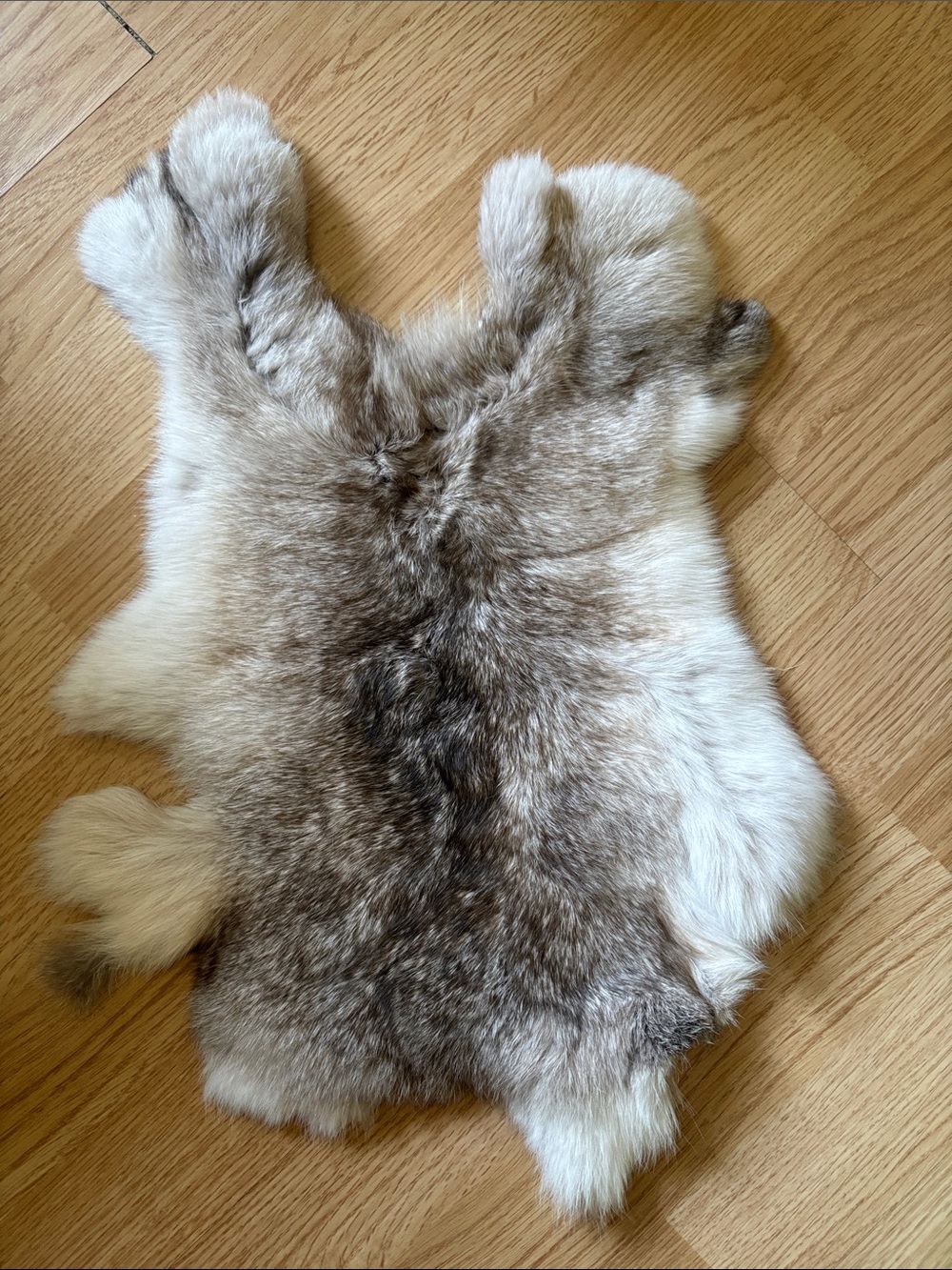 B0111 rabbit pelt - Neutral Brown & Cream